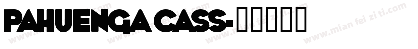 Pahuenga Cass字体转换